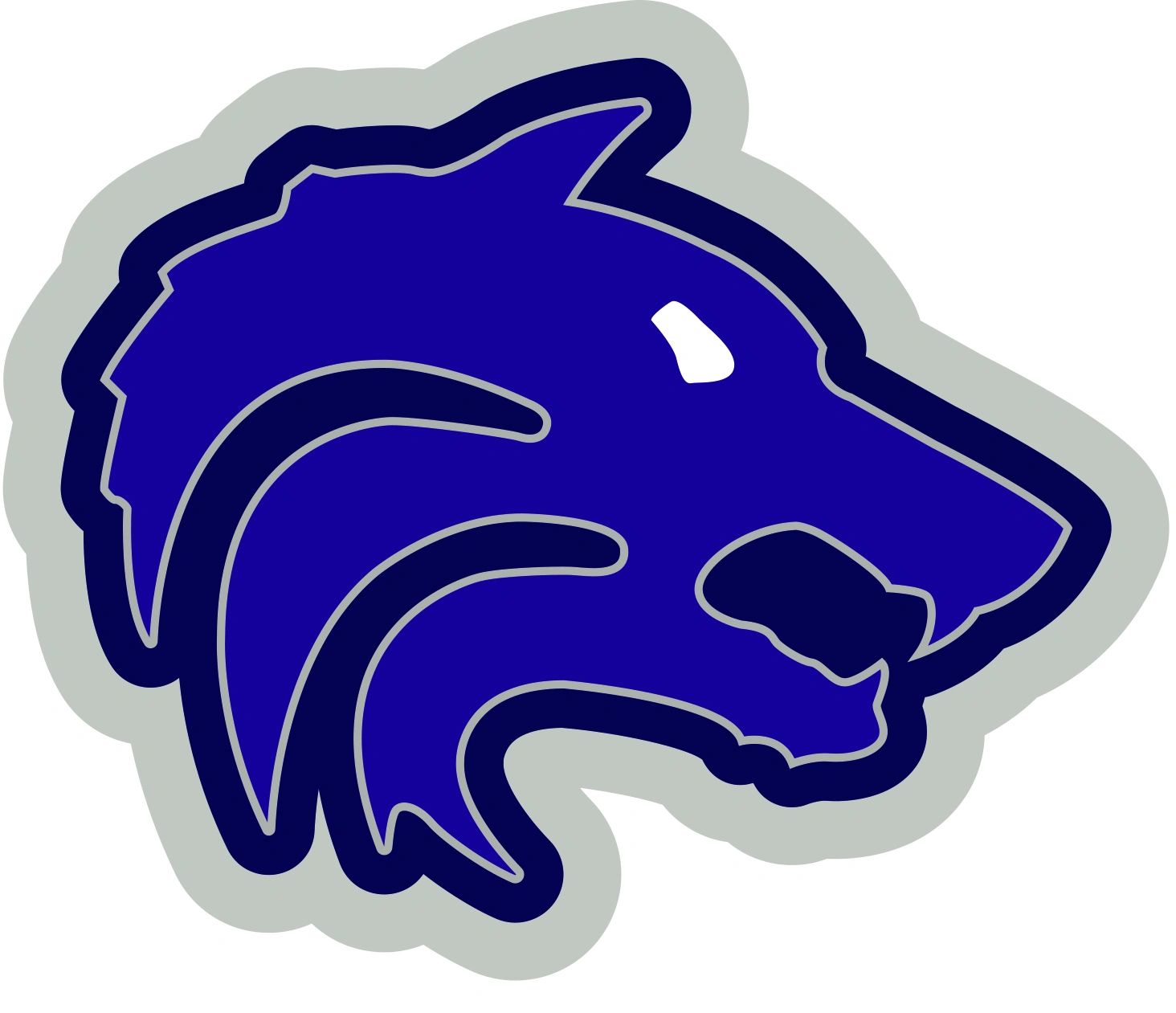 Wolfe City HS "VIRTUAL/PHONE CALL" Letter Jacket Order and Fitting